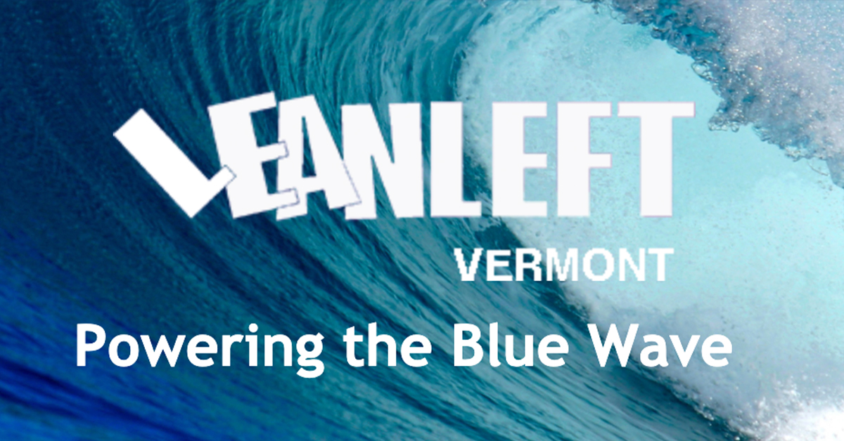 Weekly Action Update -- Protect the Vote